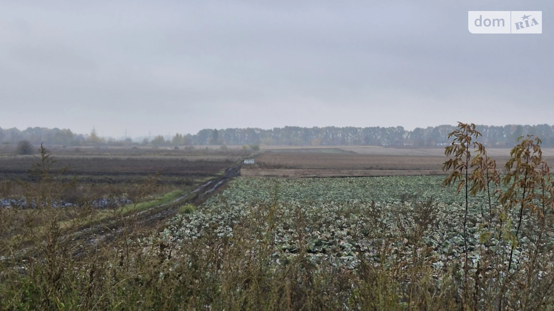 Продається земельна ділянка 16 соток у Вінницькій області, цена: 24000 $ - фото 4