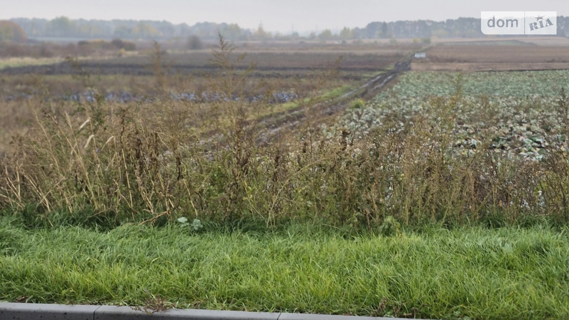 Продається земельна ділянка 16 соток у Вінницькій області, цена: 24000 $ - фото 5