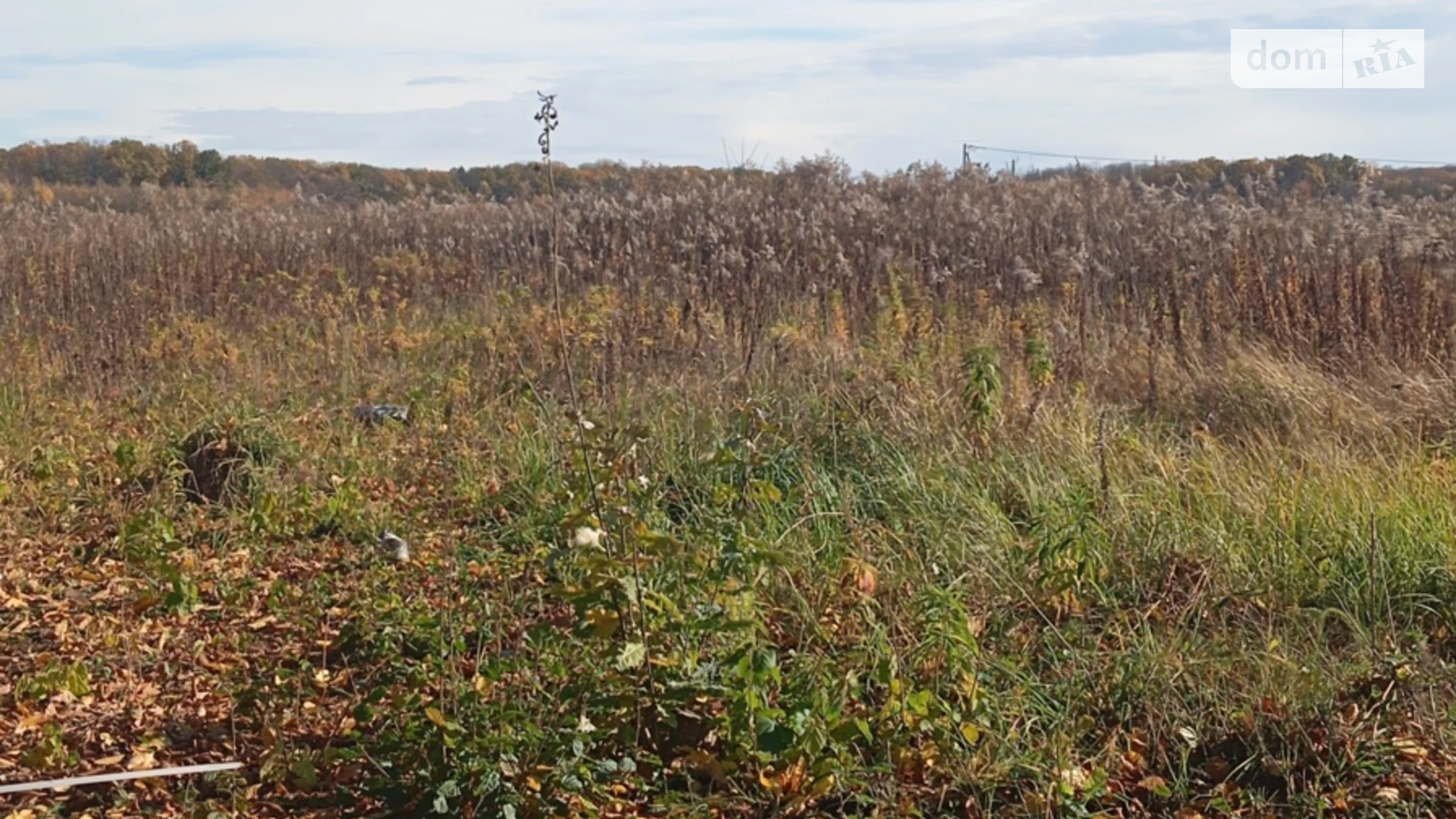 Продається земельна ділянка 20 соток у Вінницькій області, цена: 23500 $ - фото 5
