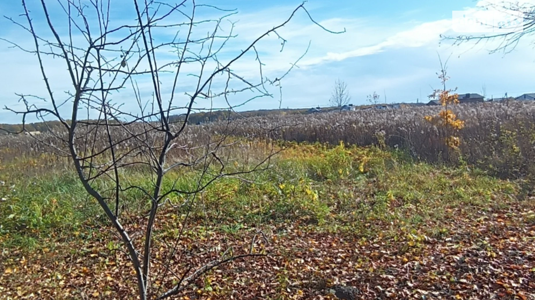 Продається земельна ділянка 20 соток у Вінницькій області, цена: 23500 $ - фото 2