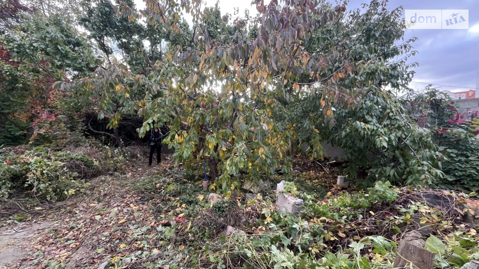 Продается одноэтажный дом 36 кв. м с верандой, цена: 85000 $ - фото 4