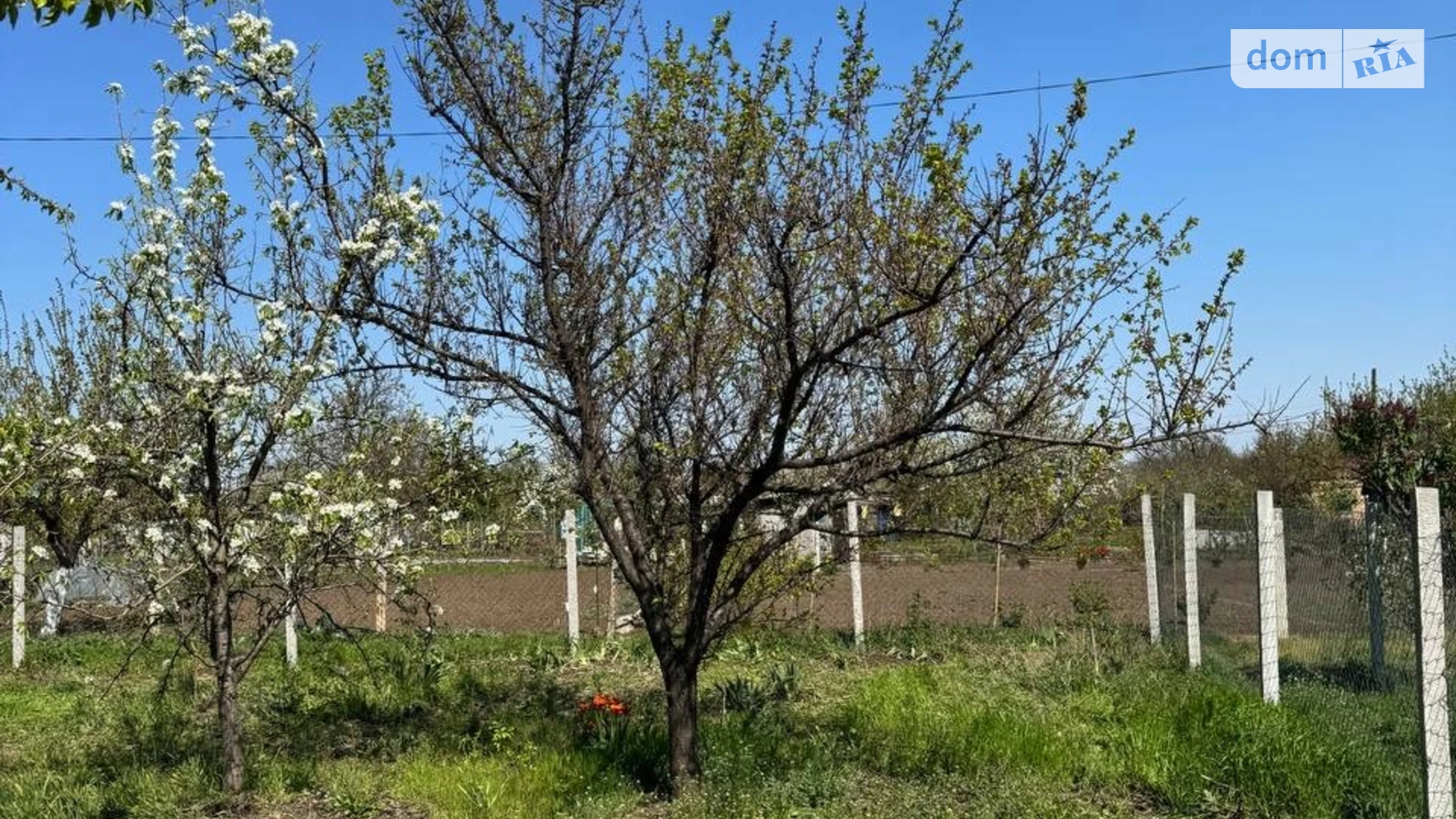 ул. Давидов Брод(Туринская) ЮГОК Кривой Рог, цена: 115000 грн - фото 5