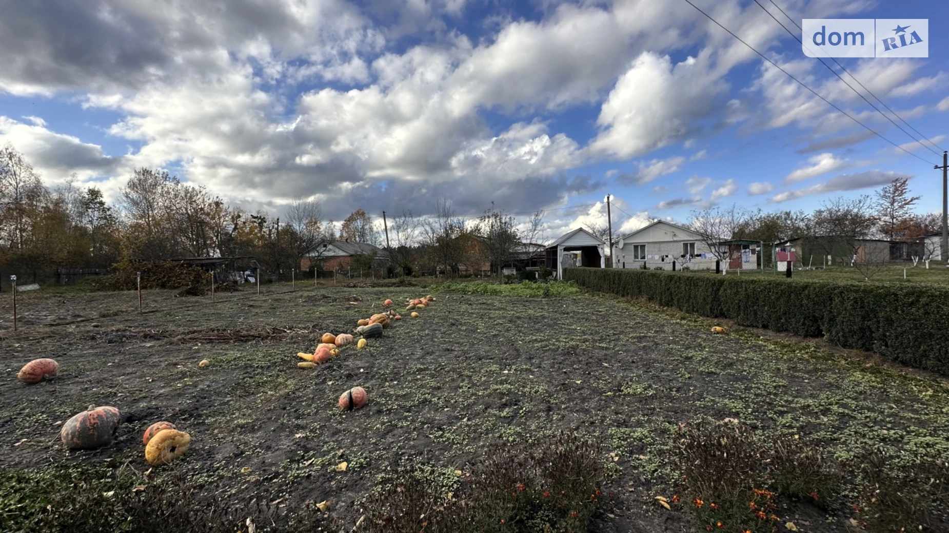 Продается одноэтажный дом 80 кв. м с участком, цена: 60000 $ - фото 2