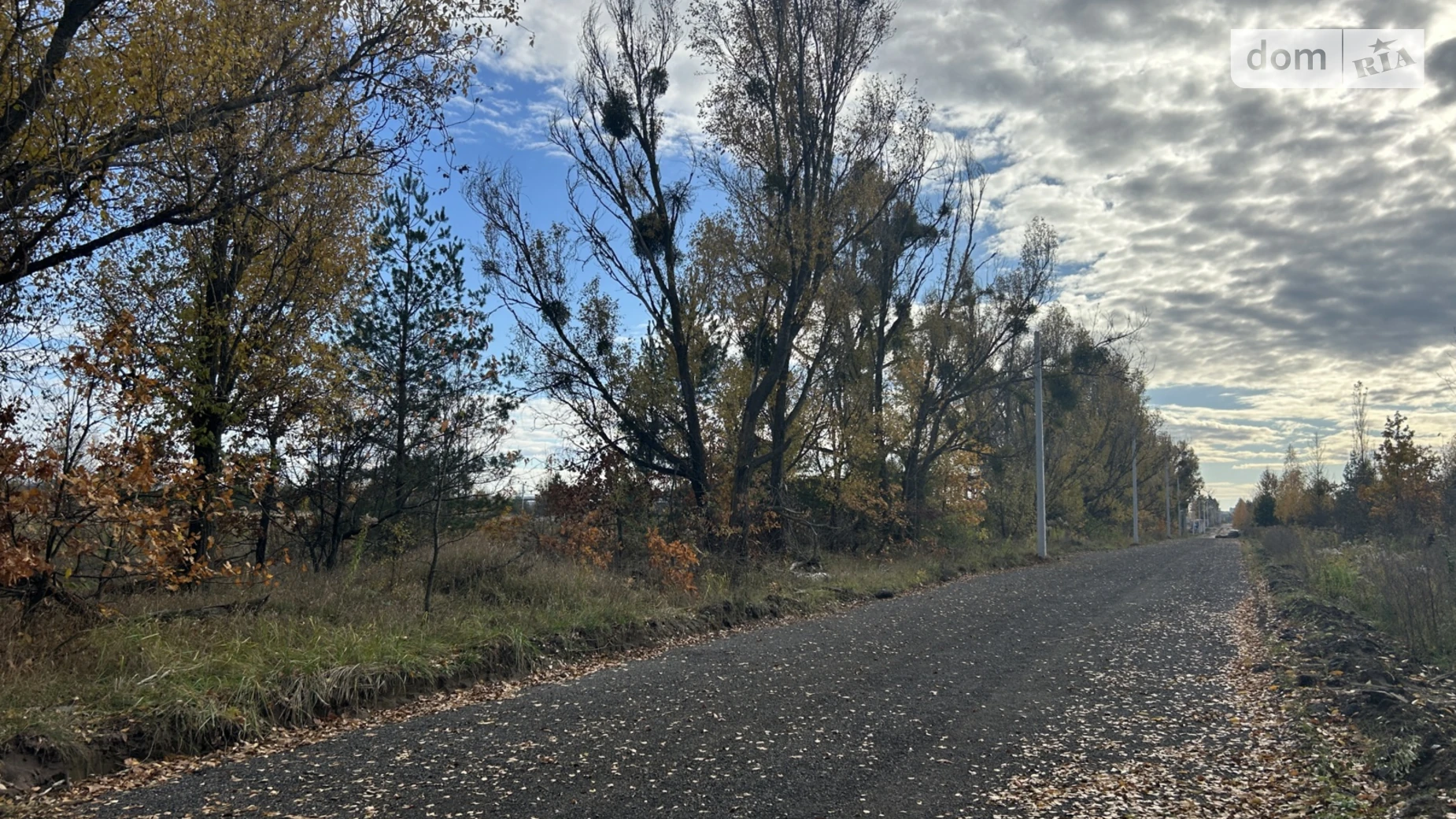 Продается земельный участок 99.81 соток в Киевской области, цена: 349335 $ - фото 2