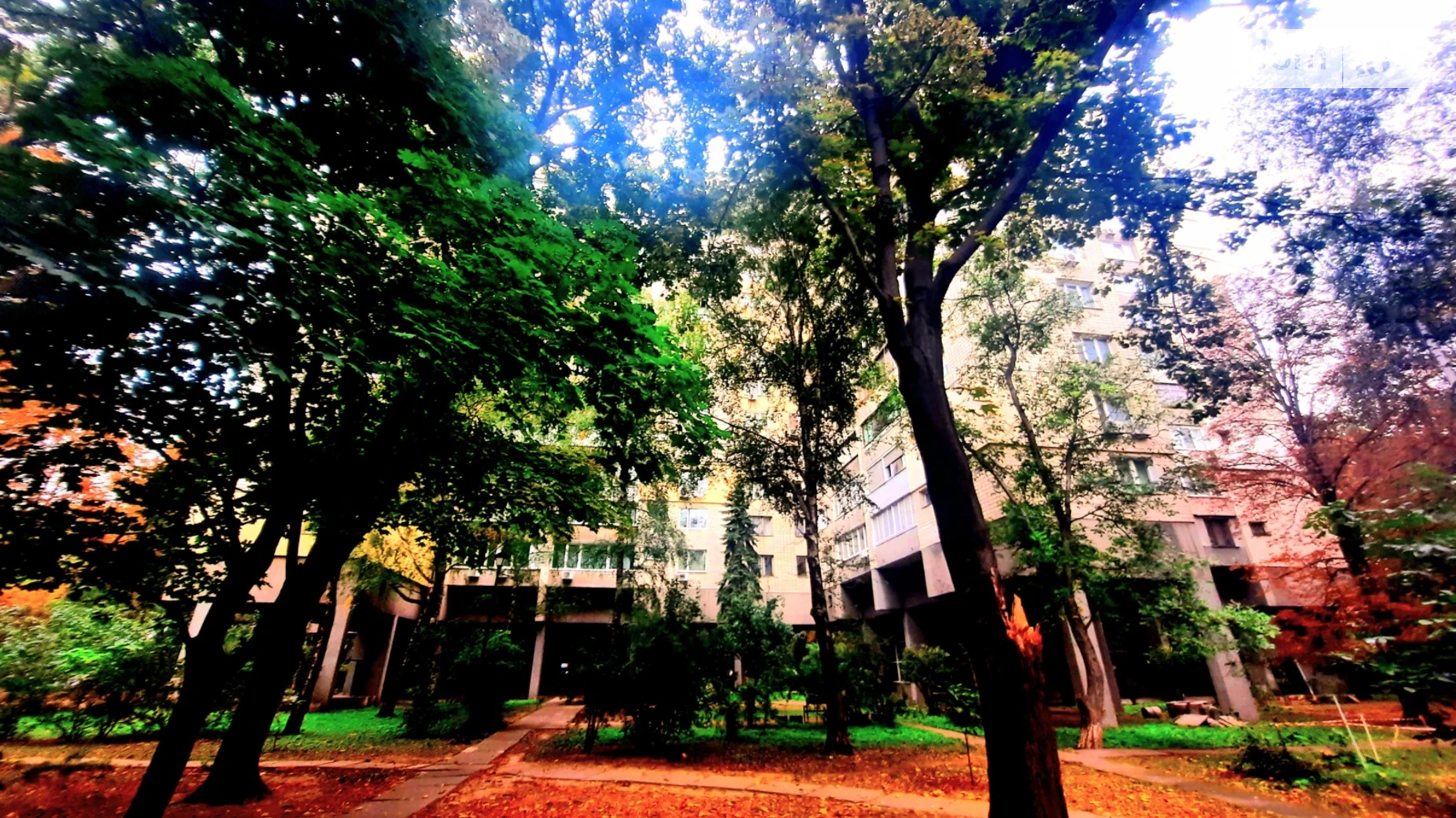 Продается 3-комнатная квартира 81 кв. м в Киеве, ул. Михаила Омельяновича-Павленко(Суворова), 11 - фото 4