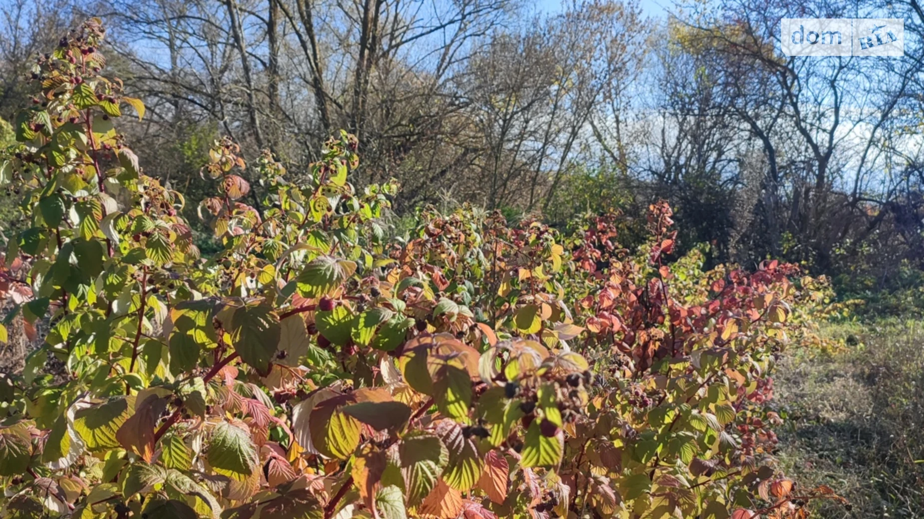 Іванівка (Вінниця), цена: 11500 $ - фото 5