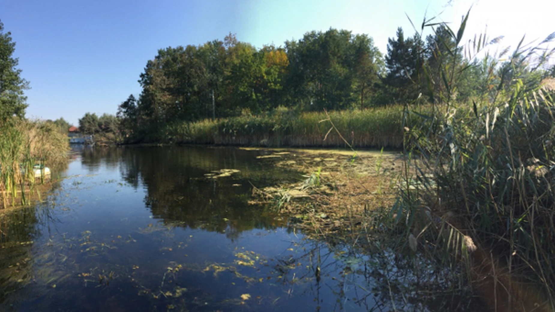 Продається земельна ділянка 150 соток у Черкаській області, цена: 130000 $ - фото 3