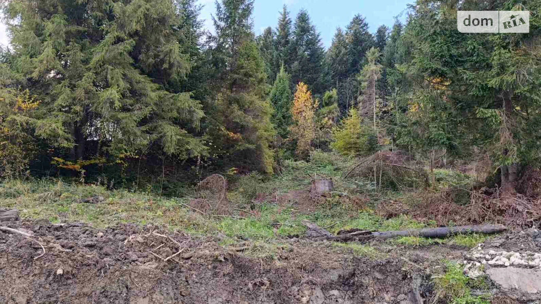 Продается земельный участок 10 соток в Львовской области, цена: 2500 $ - фото 3