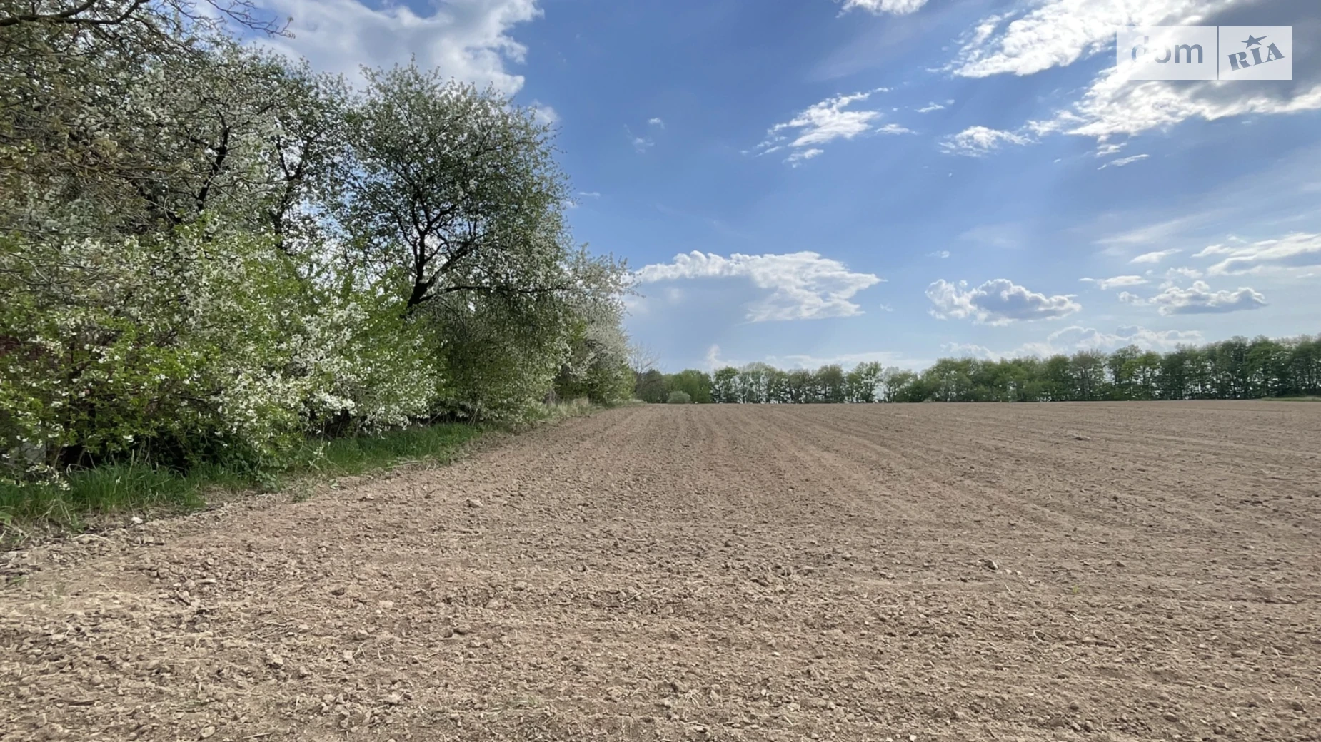 вул. Шкільна Парпурівці, цена: 20000 $ - фото 5