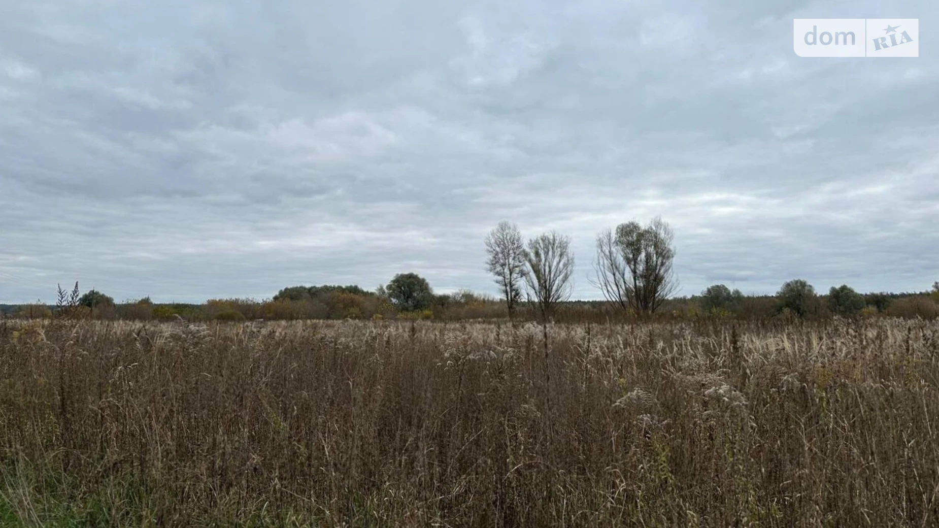 Ірпінь, цена: 104000 $ - фото 2