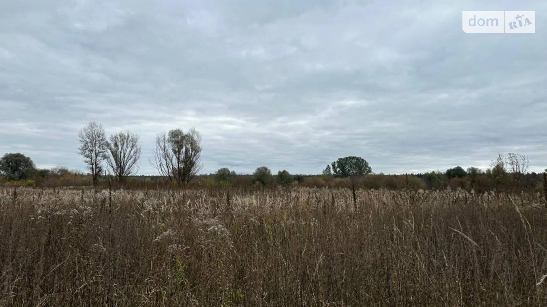 Ірпінь, цена: 104000 $ - фото 3