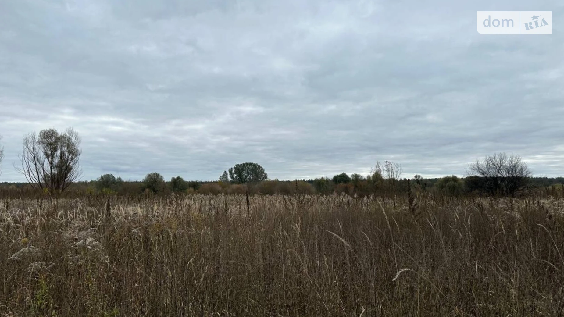 Ірпінь, цена: 104000 $ - фото 4