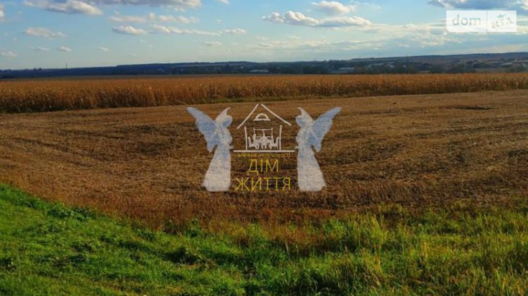 Продается земельный участок 180 соток в Тернопольской области, цена: 90000 $ - фото 4