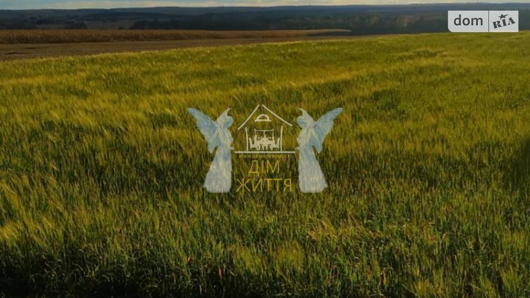 Продается земельный участок 180 соток в Тернопольской области, цена: 90000 $ - фото 5