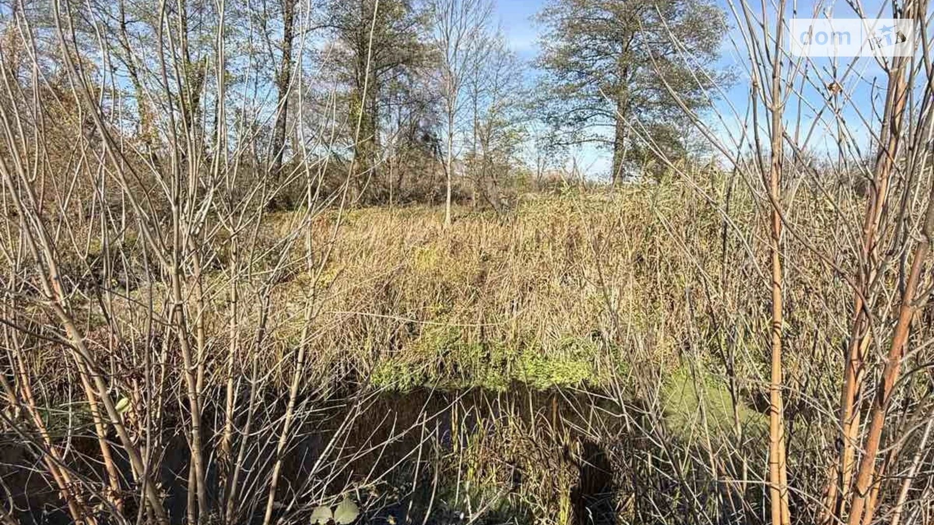 Продается земельный участок 52.12 соток в Полтавской области, цена: 105000 $ - фото 4