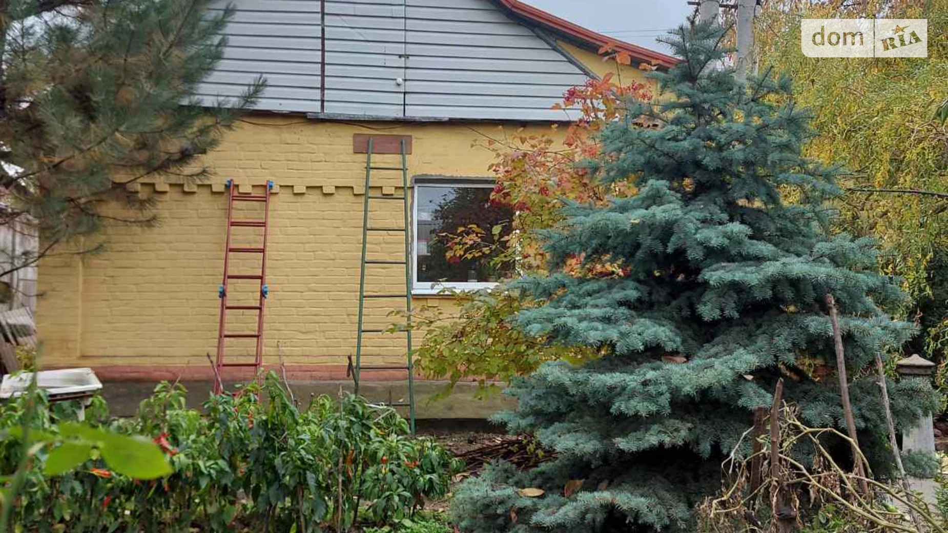 Продается одноэтажный дом 49.7 кв. м с подвалом, цена: 39000 $ - фото 4