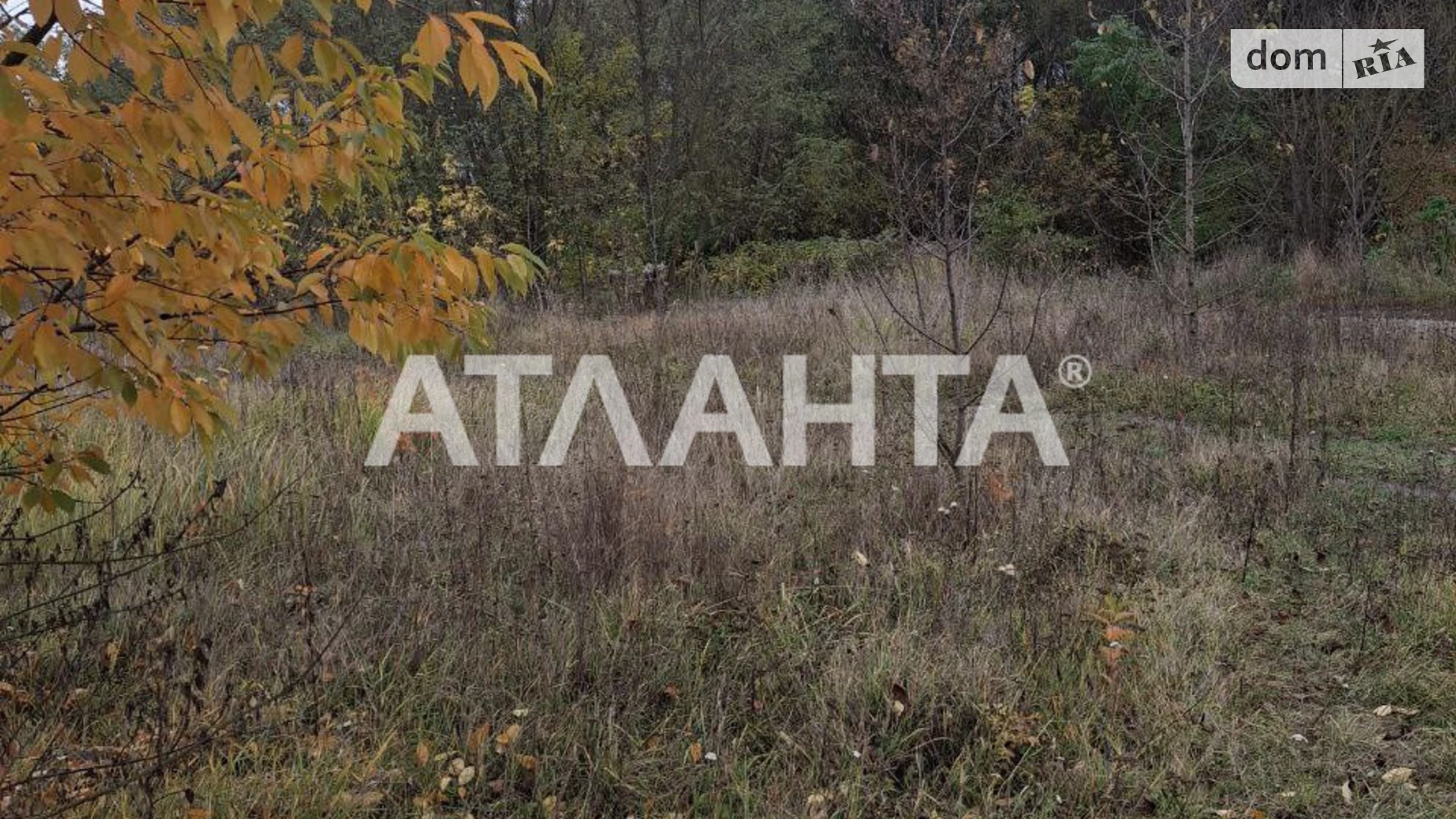 Продается земельный участок 5 соток в Винницкой области, цена: 79000 $ - фото 5