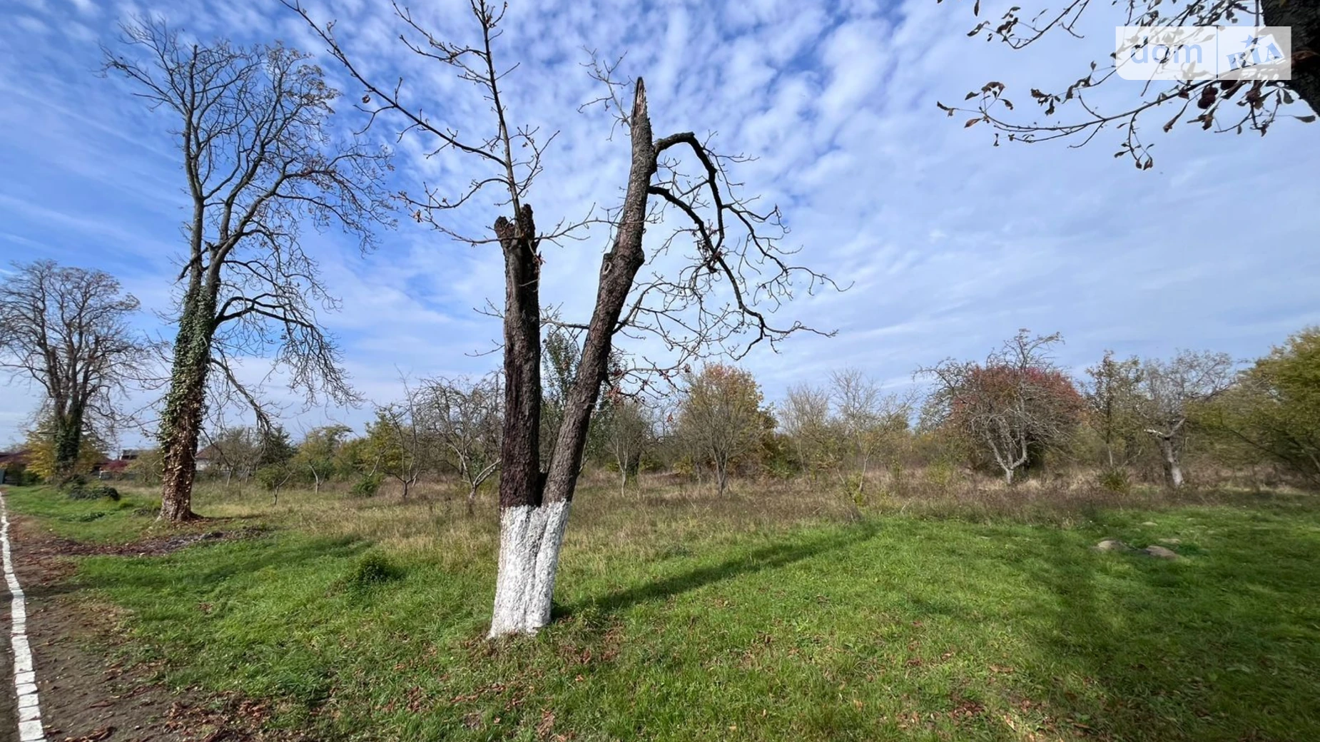 Здається в оренду земельна ділянка 4.0744 соток у  області, цена: 439585 грн - фото 5