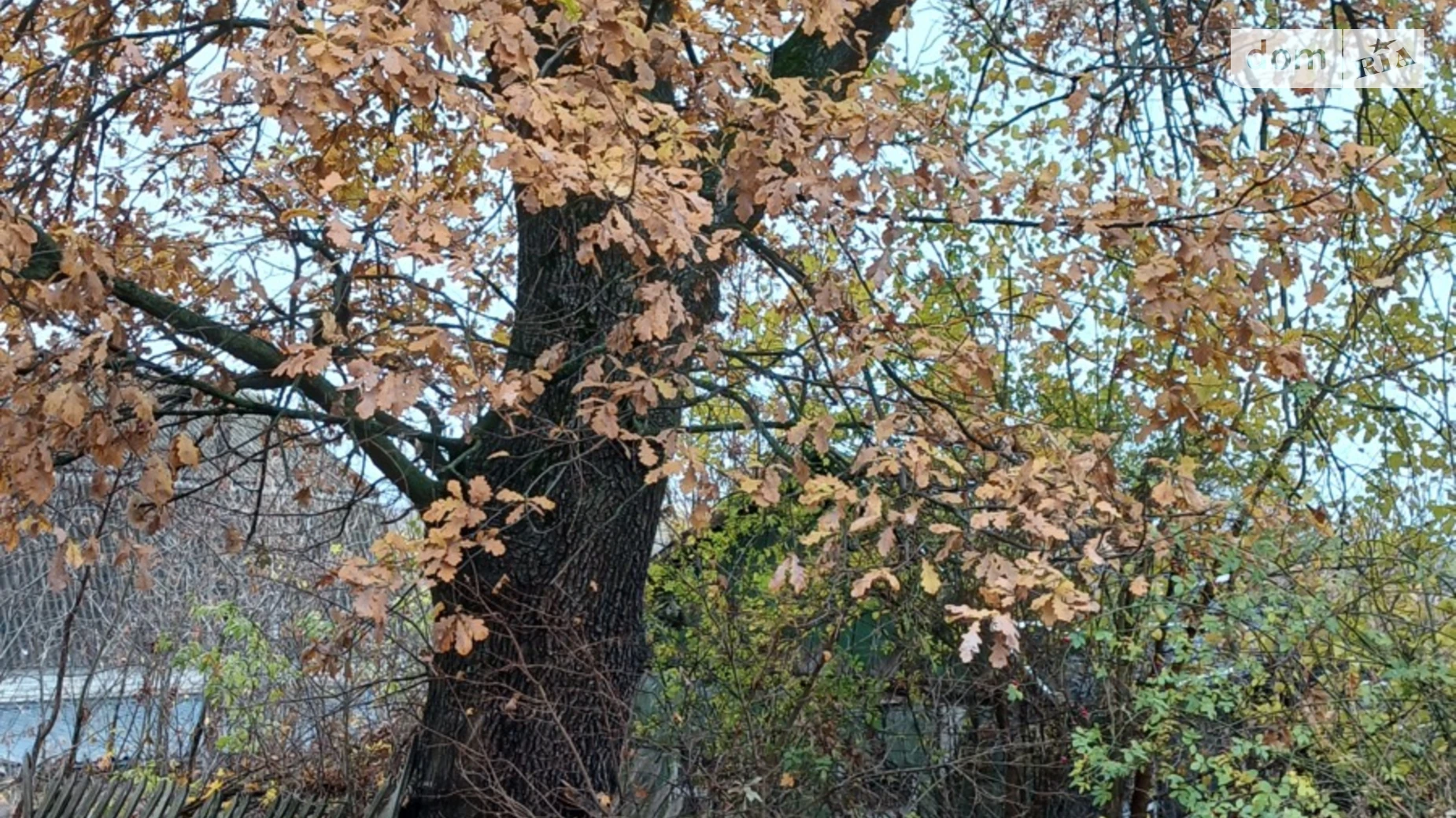 ул. Дружная Высокий, цена: 11000 $ - фото 4