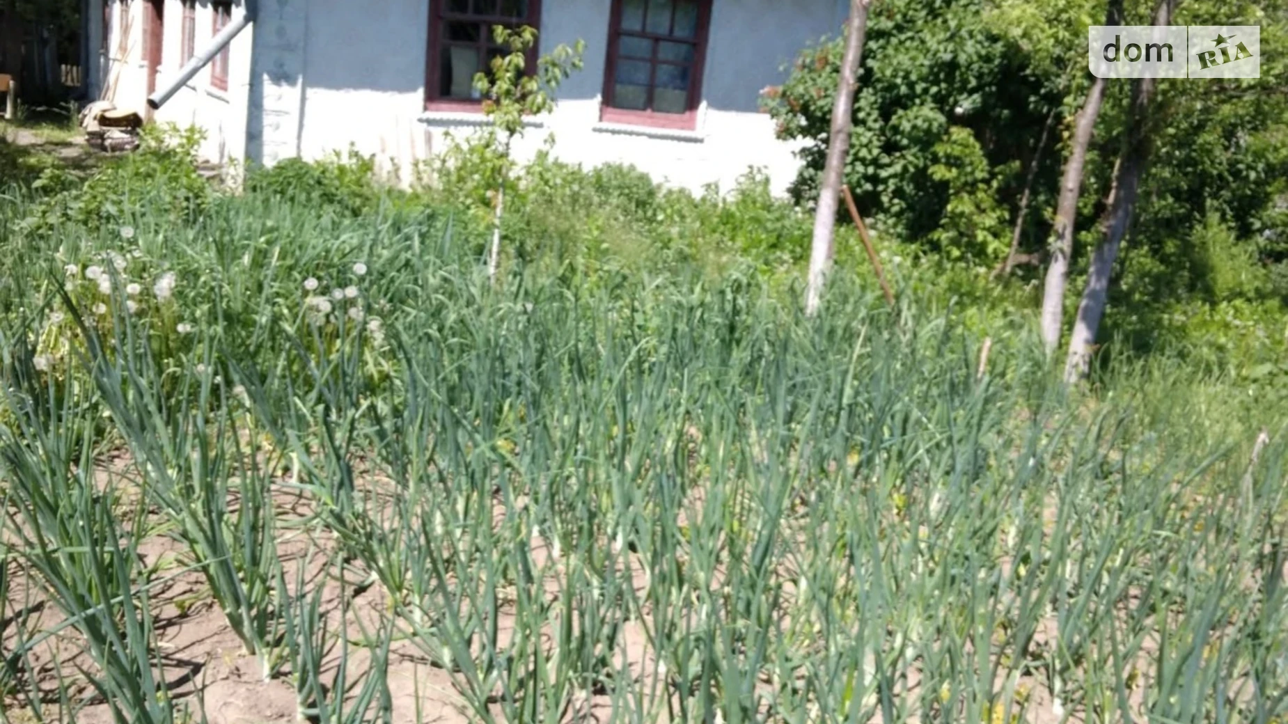 Продается одноэтажный дом 49.8 кв. м с подвалом, цена: 6000 $ - фото 2