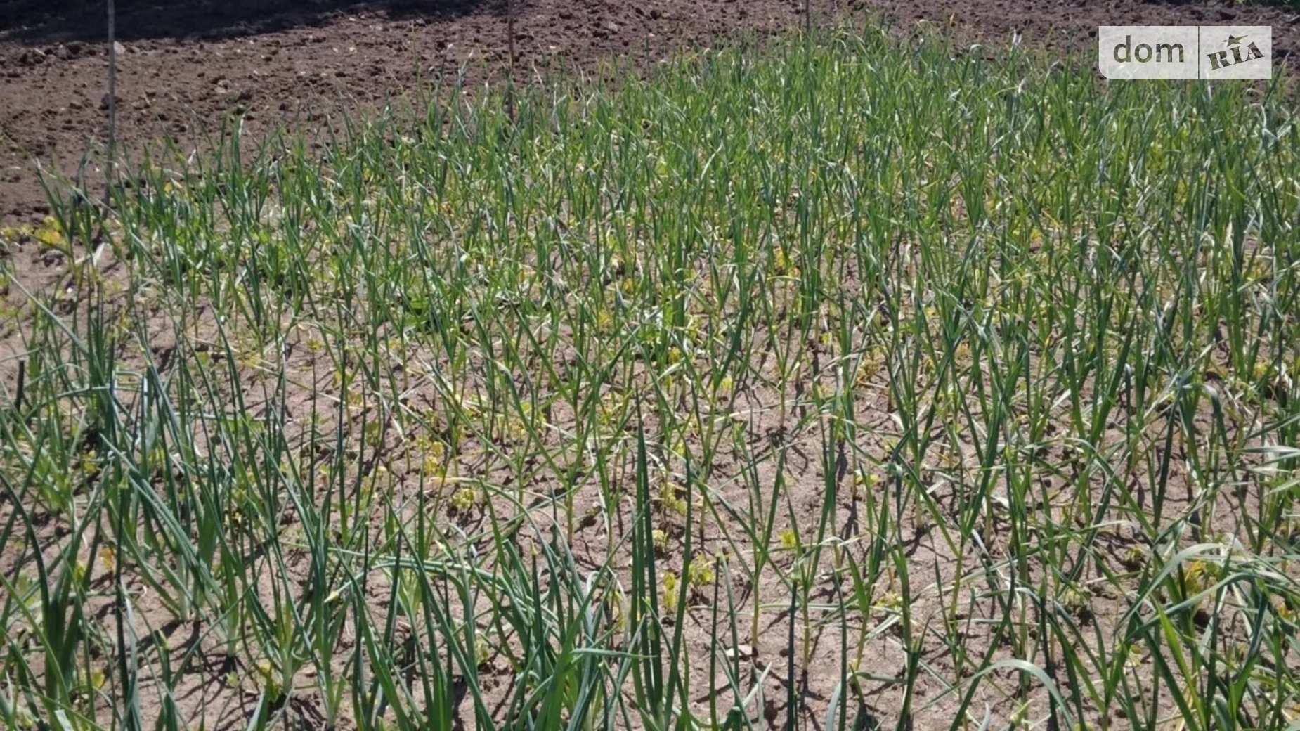 Продается одноэтажный дом 49.8 кв. м с подвалом, цена: 6000 $ - фото 4