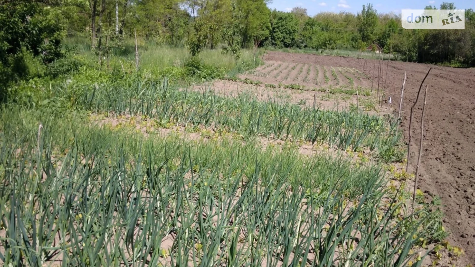 Продается одноэтажный дом 49.8 кв. м с подвалом, цена: 6000 $ - фото 5