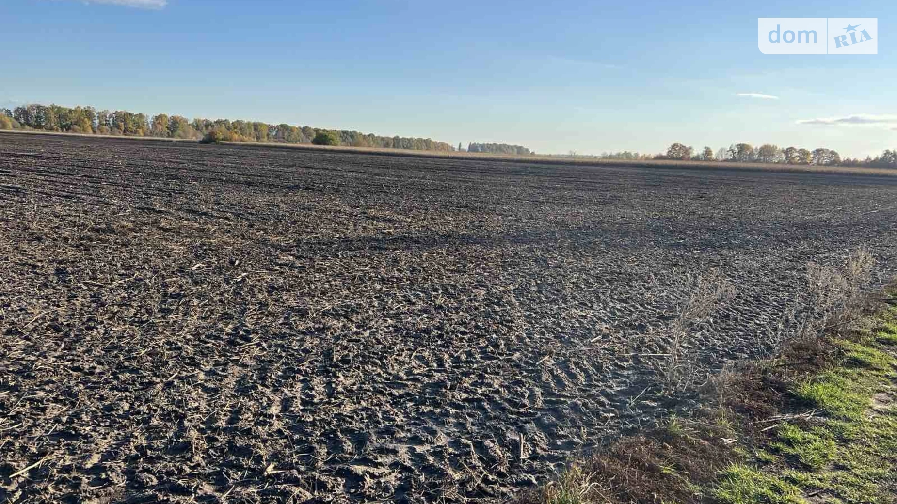 Продается земельный участок 114 соток в Киевской области, цена: 26000 $ - фото 5