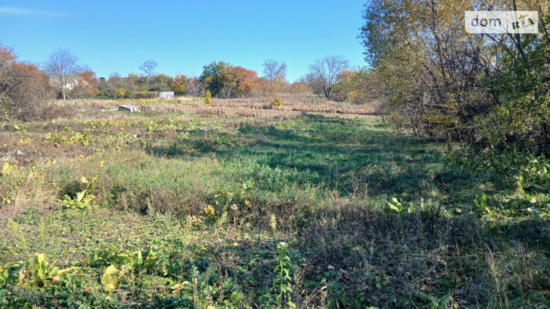 Продается земельный участок 20 соток в Винницкой области, цена: 60000 $ - фото 3