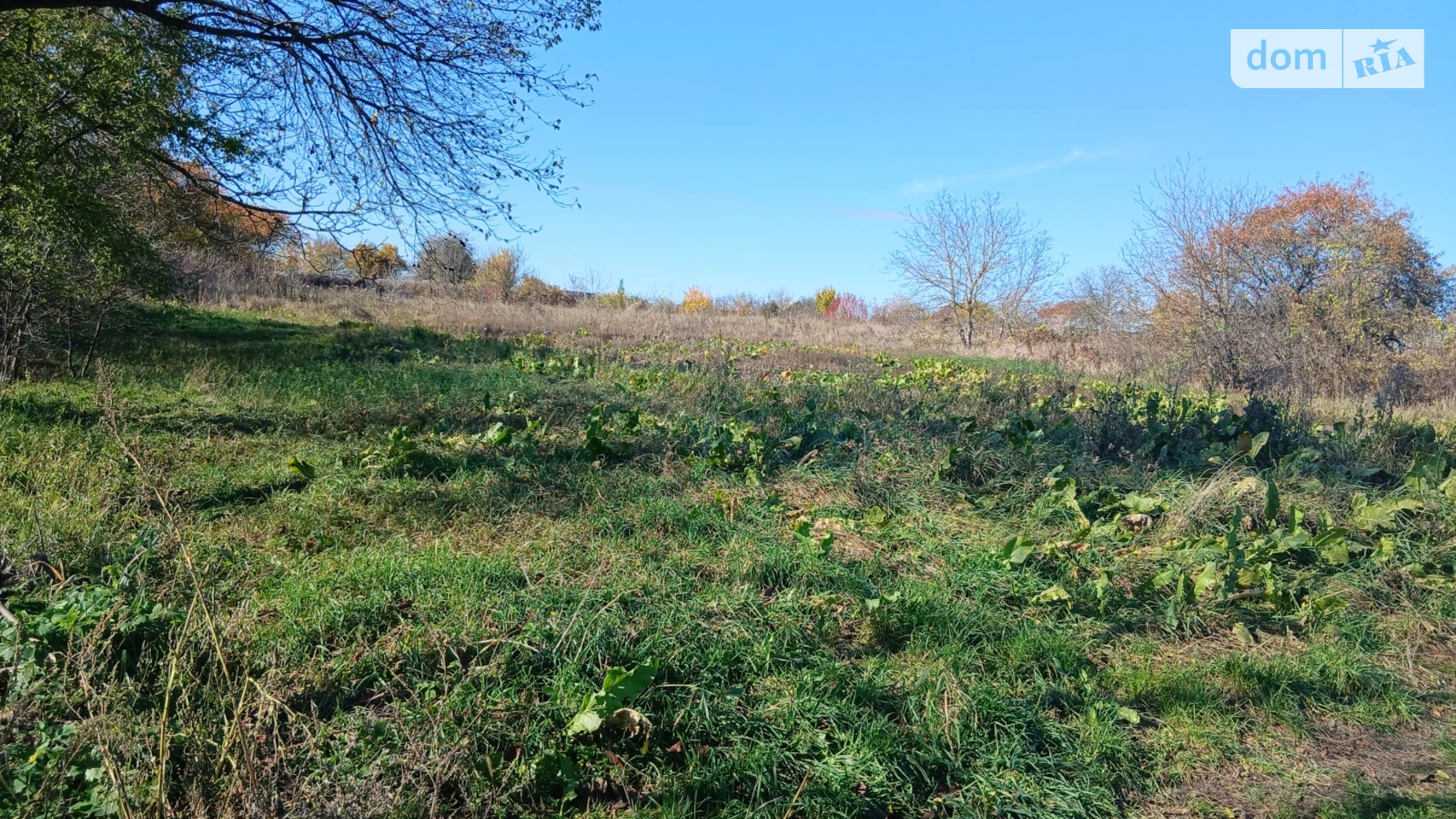 Продается земельный участок 20 соток в Винницкой области, цена: 60000 $ - фото 2