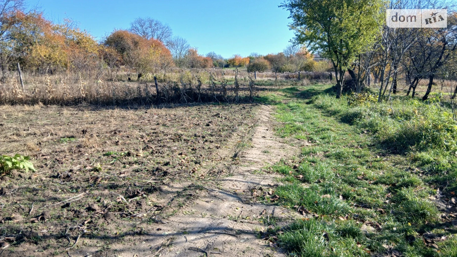 Продается земельный участок 20 соток в Винницкой области, цена: 60000 $ - фото 5