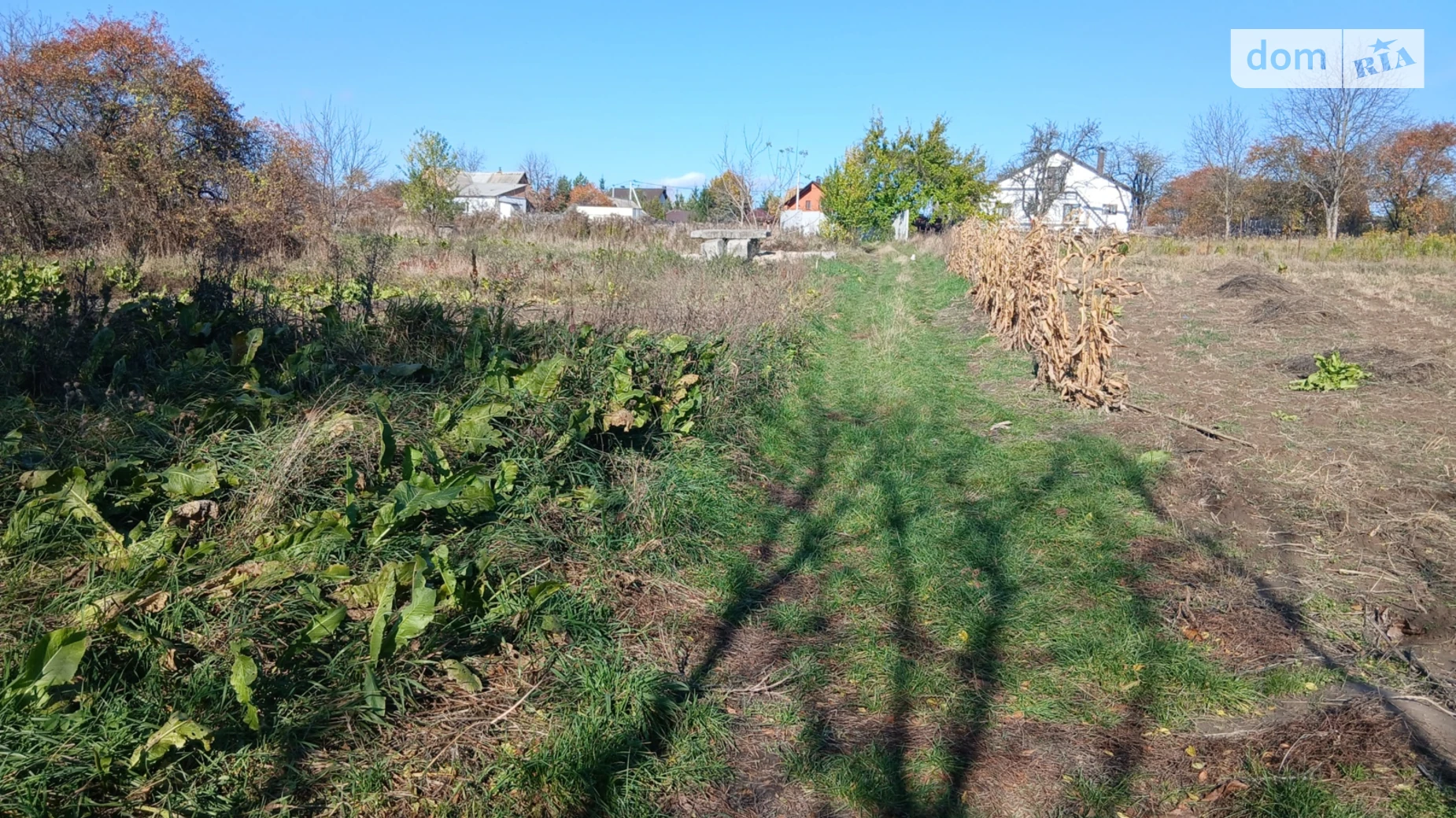 Продается земельный участок 20 соток в Винницкой области, цена: 60000 $ - фото 4
