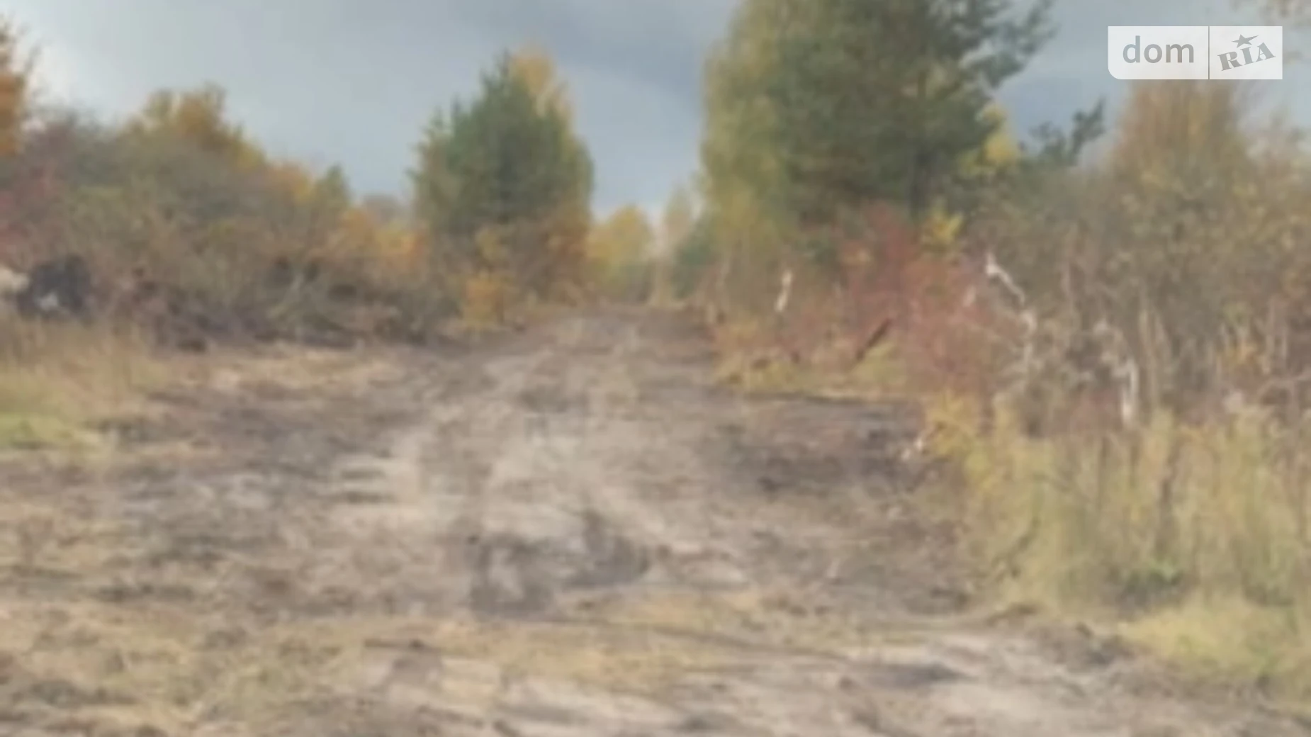 Мархалевка, цена: 90000 $ - фото 3