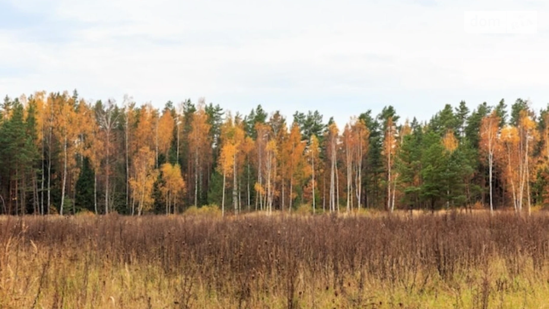 Мархалевка, цена: 90000 $ - фото 2