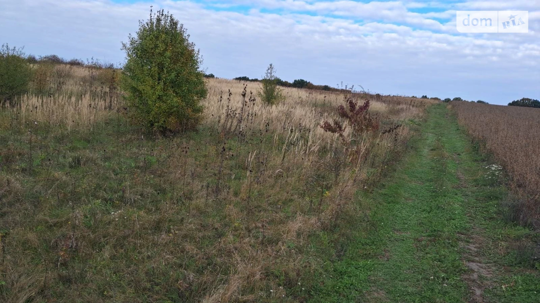 Сдается в аренду земельный участок 4.0934 соток в Тернопольской области, цена: 6813 грн - фото 2