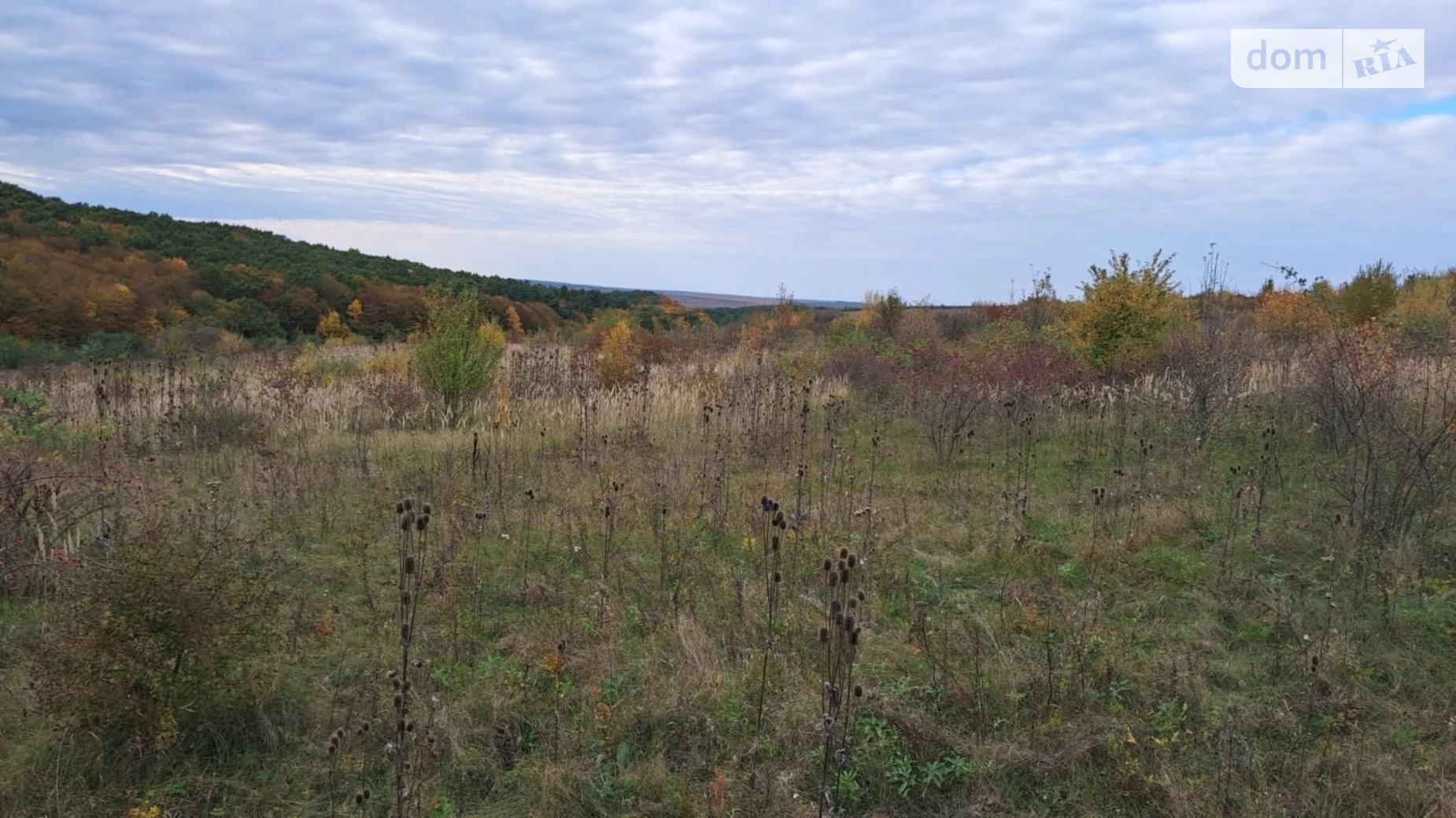 Сдается в аренду земельный участок 7.3313 соток в Тернопольской области, цена: 10755 грн - фото 2
