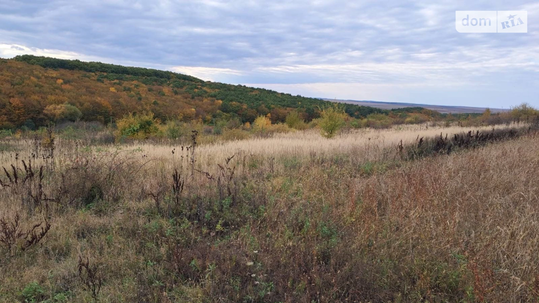 Сдается в аренду земельный участок 4.0934 соток в Тернопольской области, цена: 6813 грн - фото 3