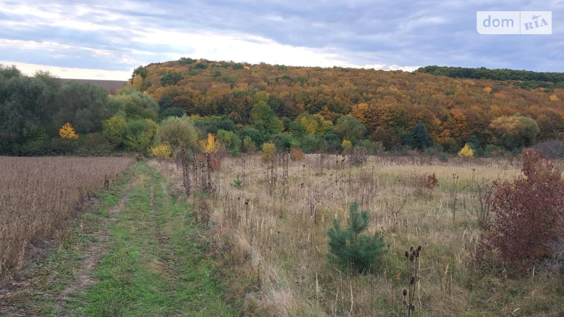 Сдается в аренду земельный участок 7.3313 соток в Тернопольской области, цена: 10755 грн - фото 3