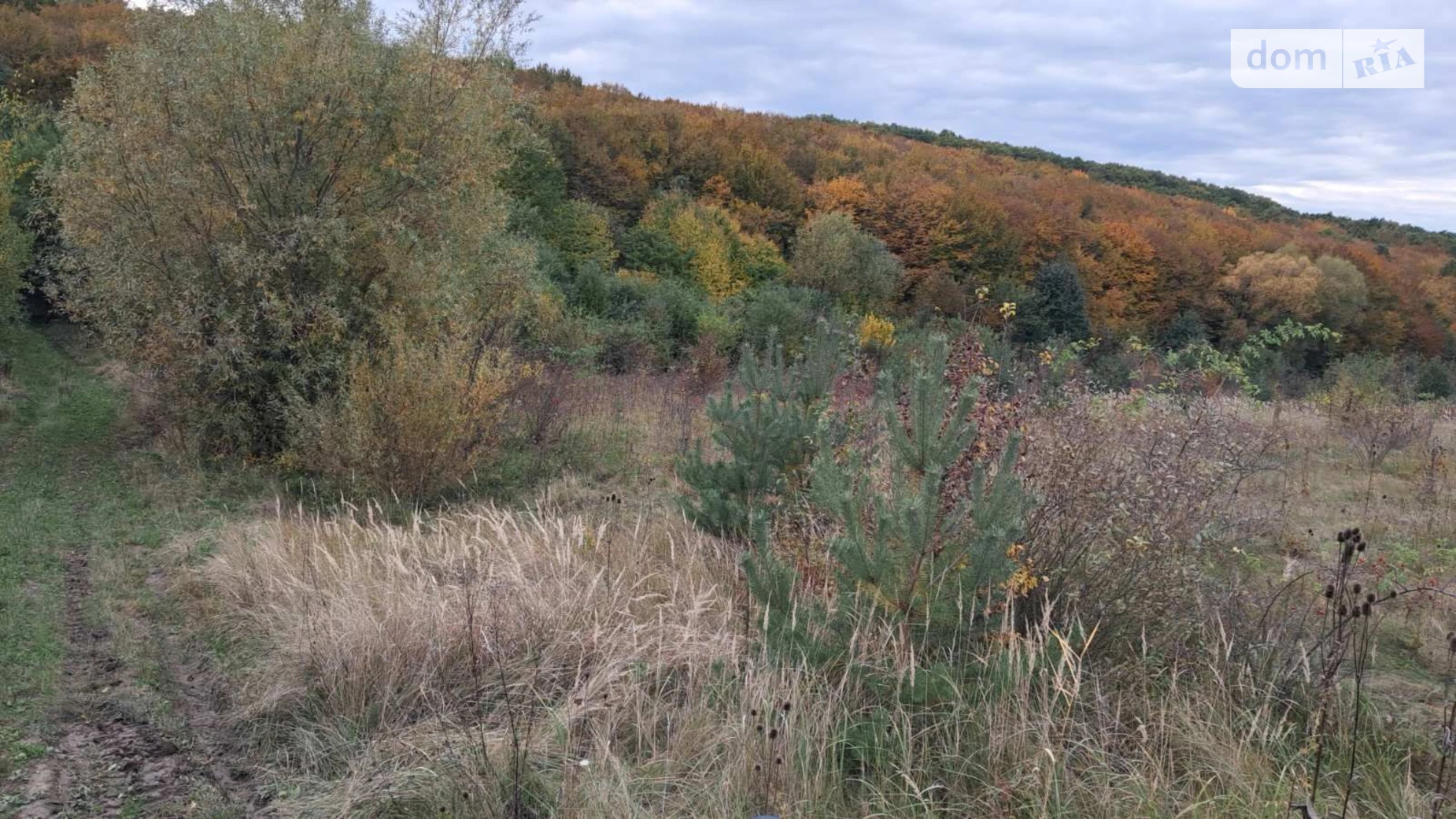 Сдается в аренду земельный участок 7.3313 соток в Тернопольской области, цена: 10755 грн - фото 4