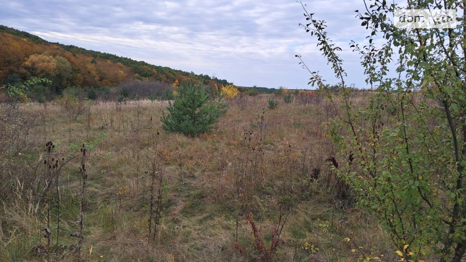 Сдается в аренду земельный участок 7.3313 соток в Тернопольской области, цена: 10755 грн - фото 5