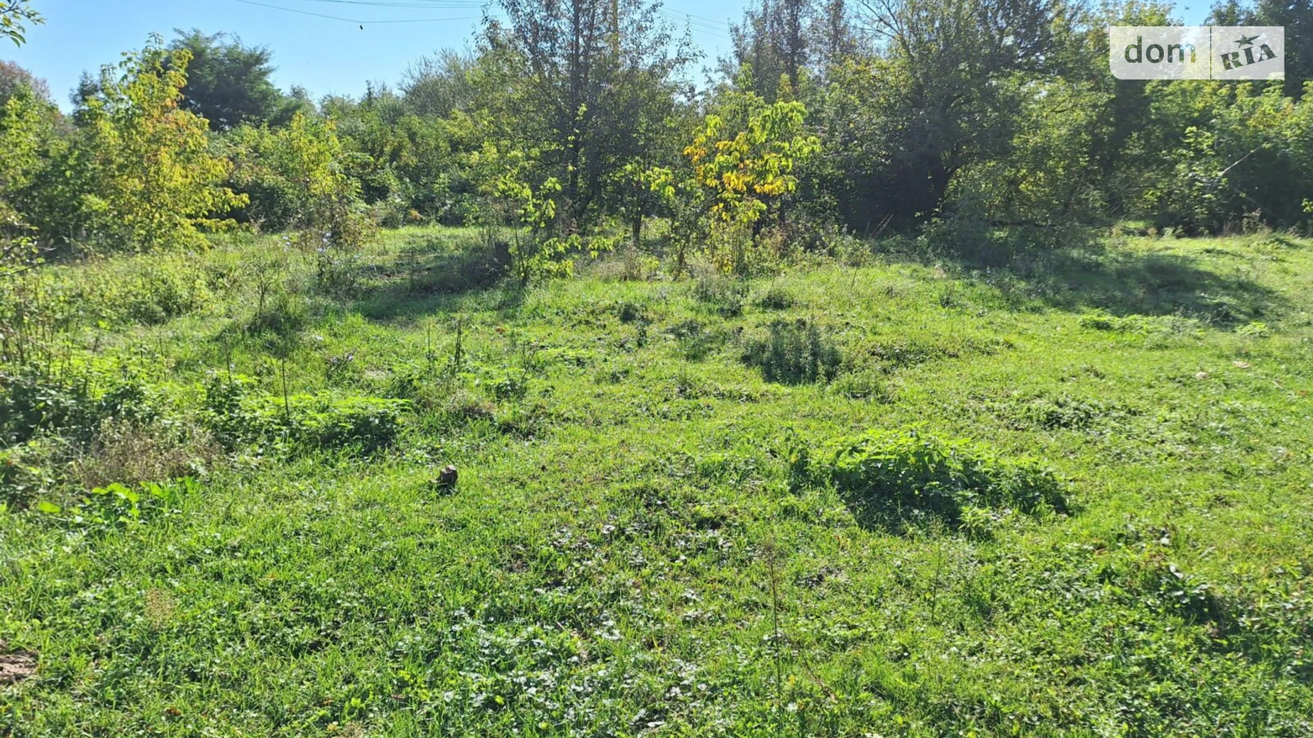 Здається в оренду земельна ділянка 0.667 соток у Чернівецькій області, цена: 3594 грн - фото 4