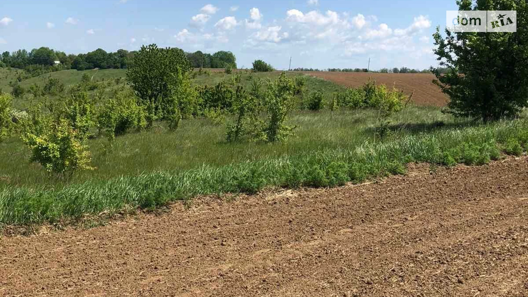 Здається в оренду земельна ділянка 1.2 соток у Вінницькій області, цена: 1376 грн - фото 2