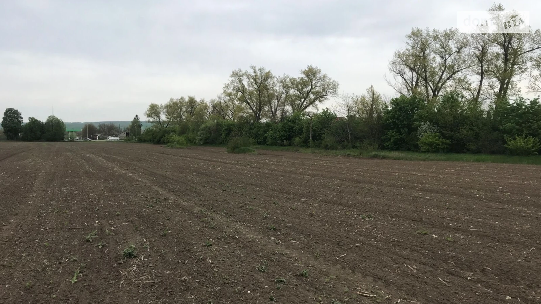 Здається в оренду земельна ділянка 0.3967 соток у Чернівецькій області, цена: 275202 грн - фото 3