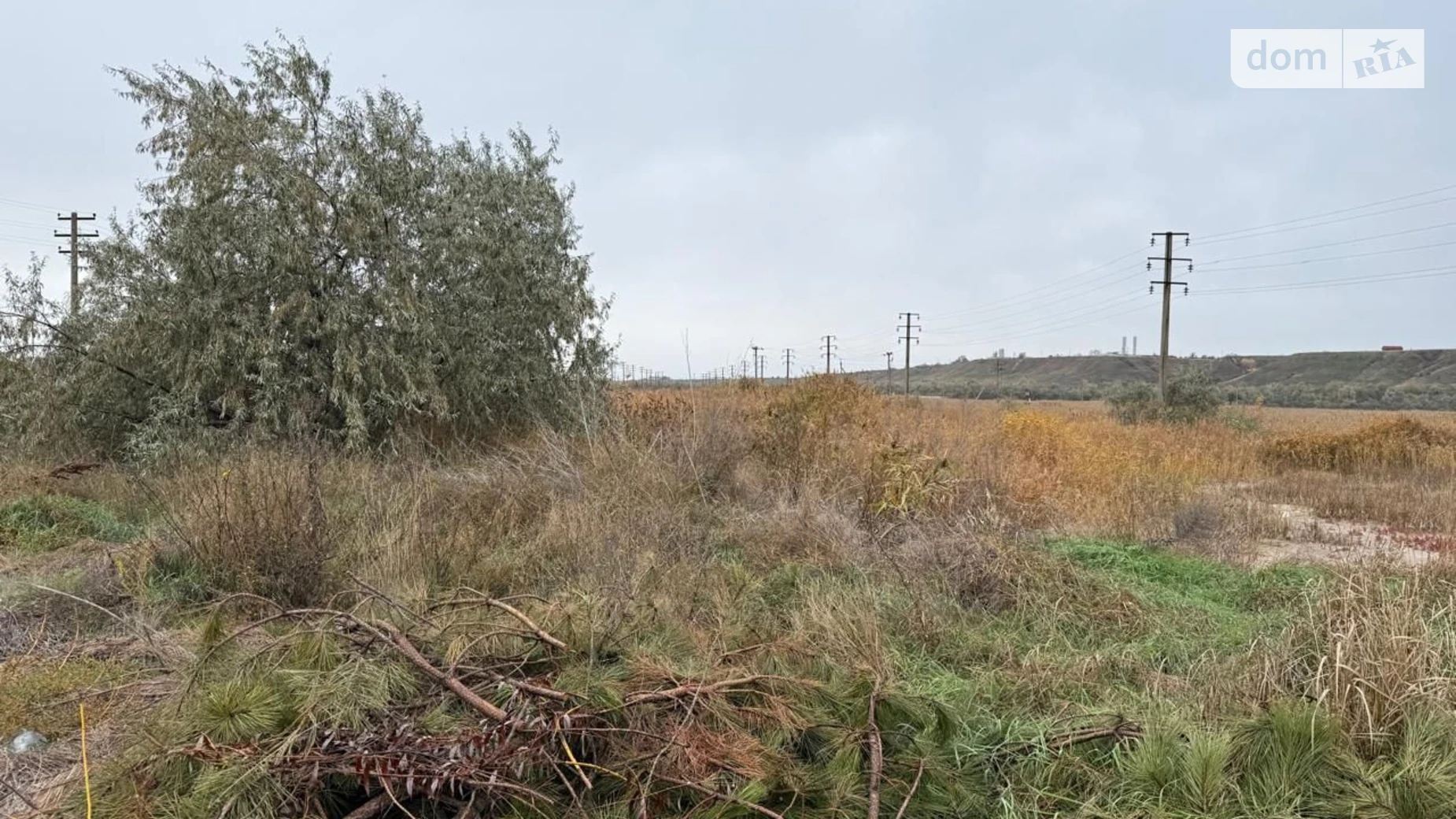 Сдается в аренду земельный участок 11.0789 соток в Николаевской области, цена: 5818 грн - фото 2