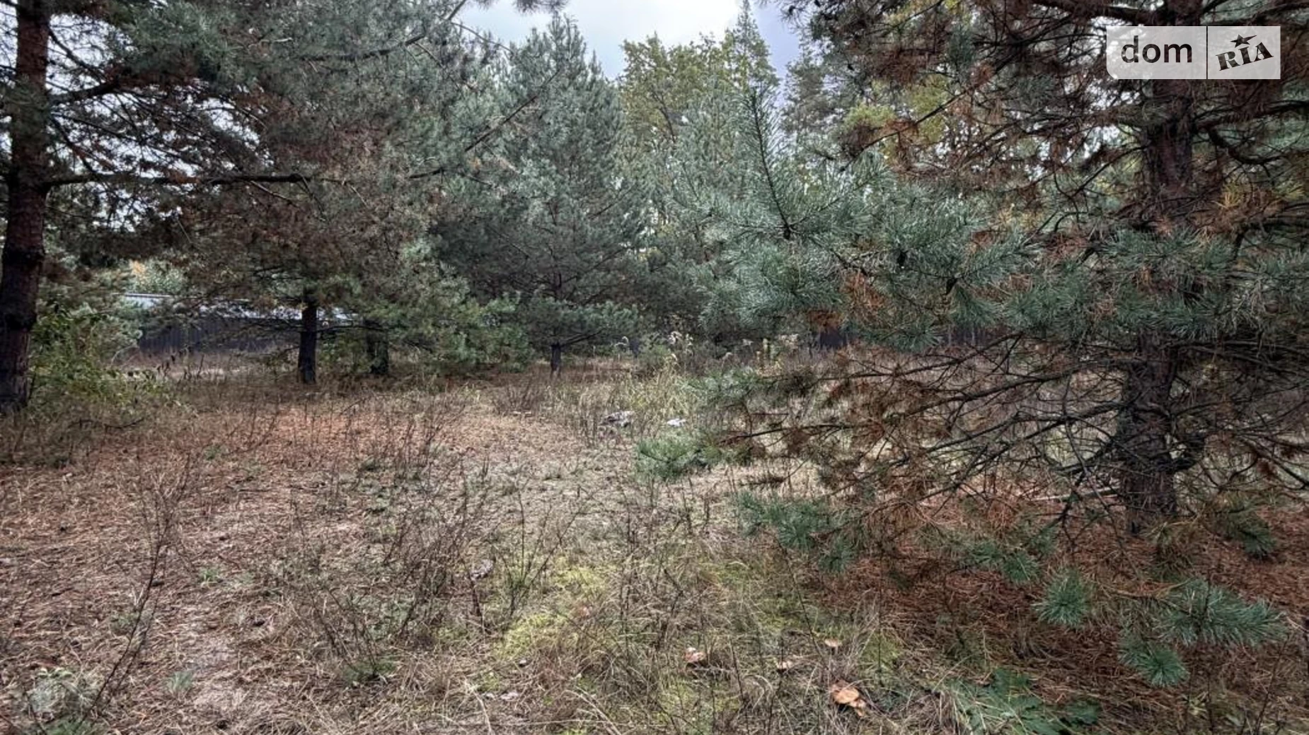 Продается дом на 2 этажа 300 кв. м с террасой, цена: 470000 $ - фото 5