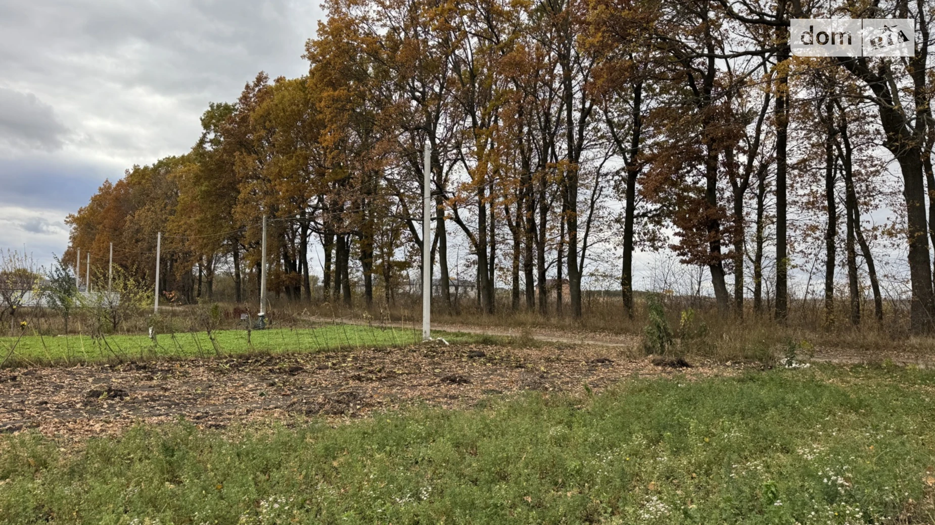 мас. Садовый Агрономичное, цена: 38000 $ - фото 5