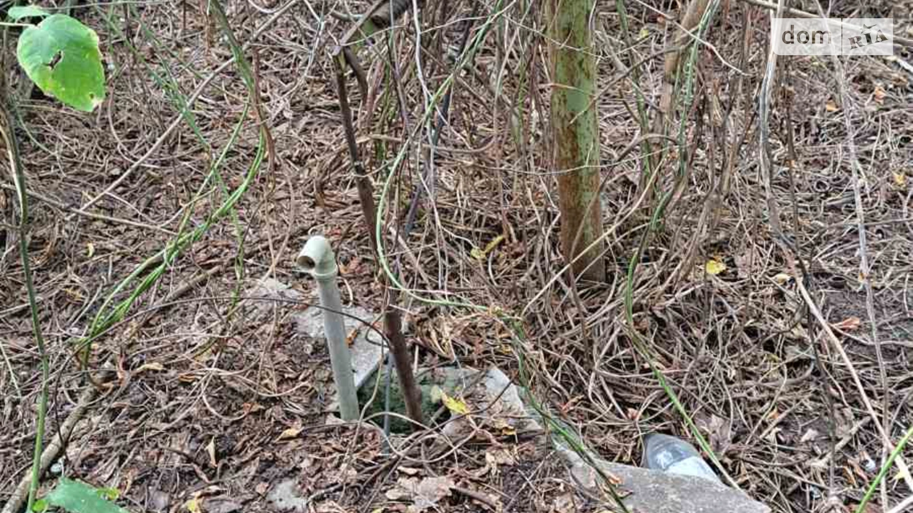 Продается одноэтажный дом 40 кв. м с подвалом, цена: 8500 $ - фото 2