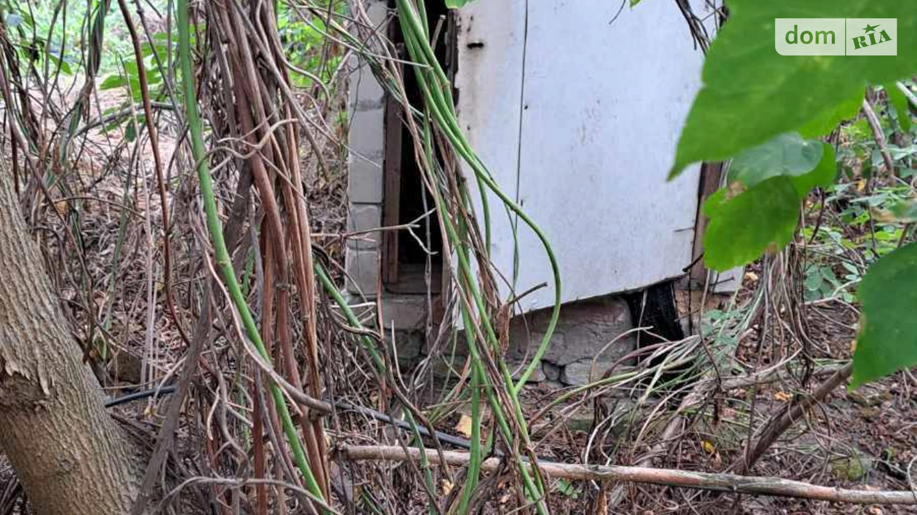 Продается одноэтажный дом 40 кв. м с подвалом, цена: 8500 $ - фото 3