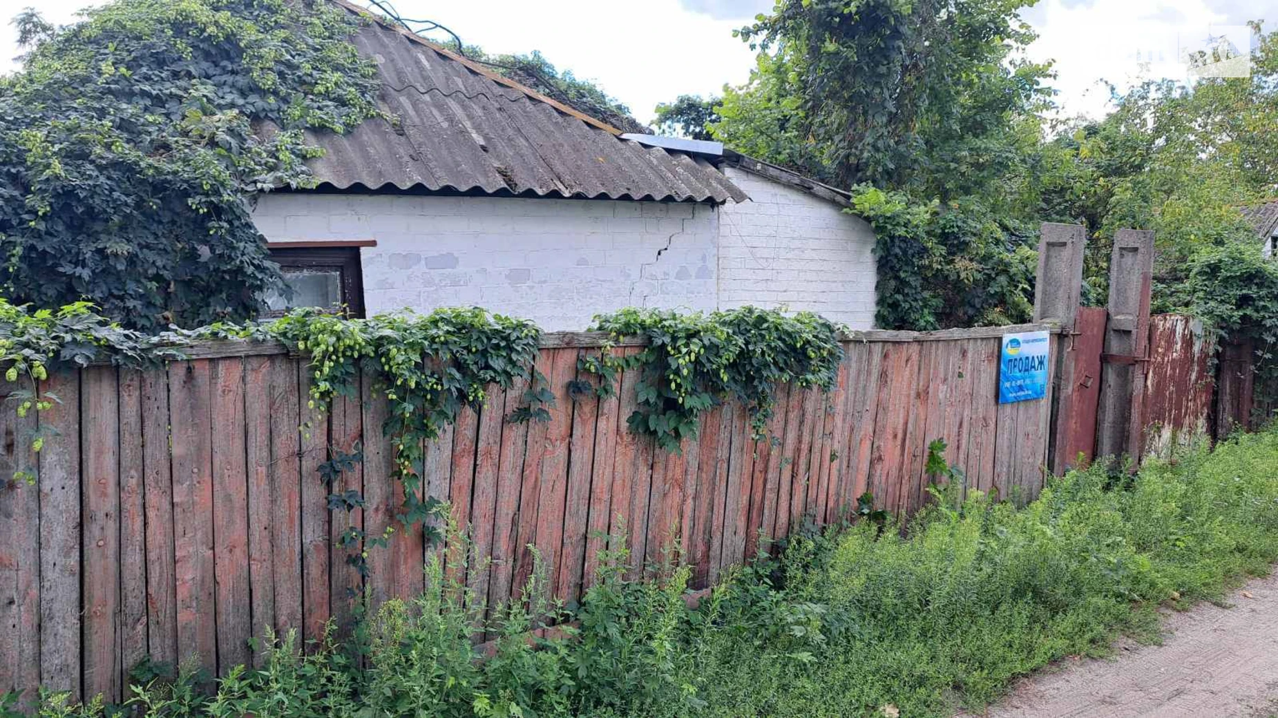 Продается одноэтажный дом 40 кв. м с подвалом, цена: 8500 $ - фото 4