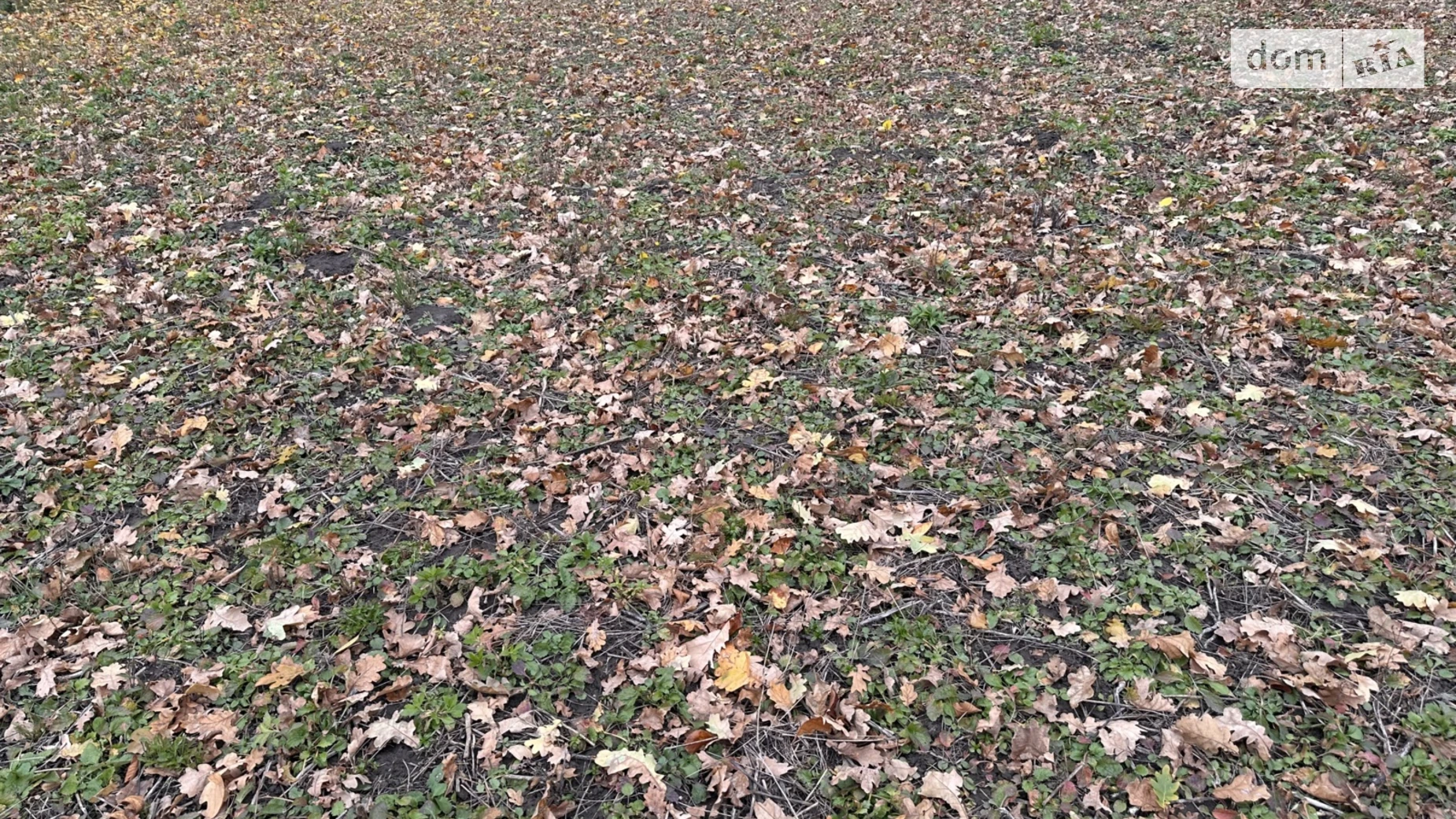 Продается земельный участок 8 соток в Винницкой области, цена: 38000 $ - фото 5