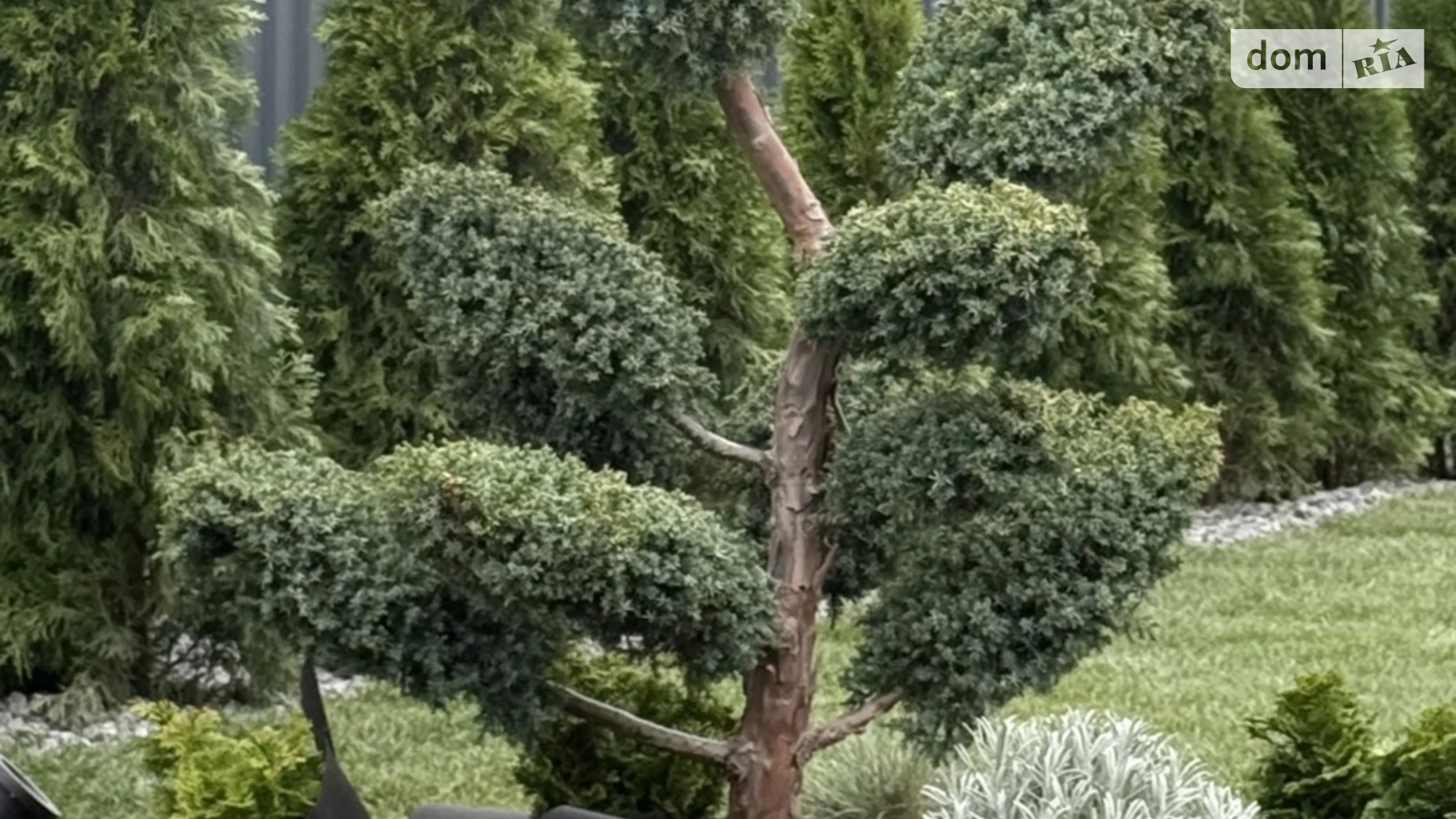 Продается дом на 2 этажа 240 кв. м с баней/сауной, цена: 300000 $ - фото 4